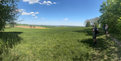 Löwenpfad Felsenrunde