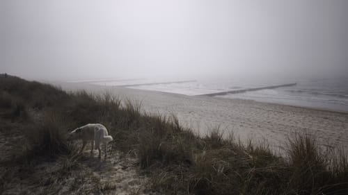 Markgrafenheide - Heiligensee und Hütelmoor