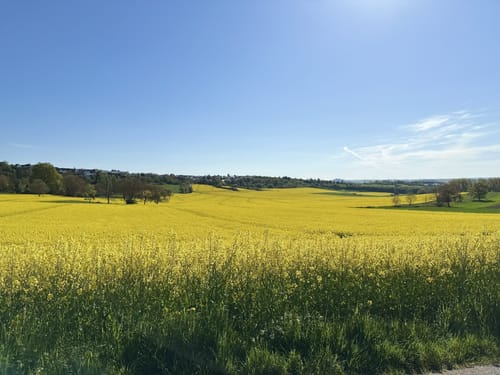 Mendiger Römerreich (Traumpfädchen)