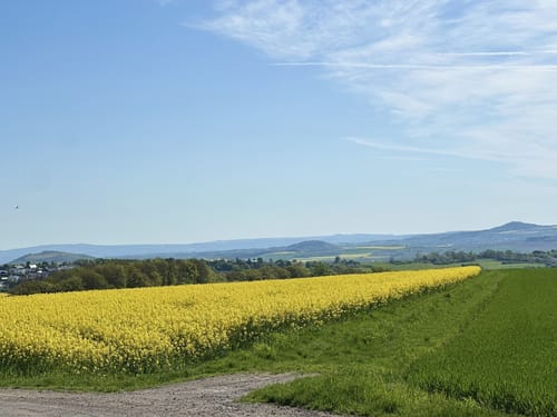 Mendiger Römerreich (Traumpfädchen)