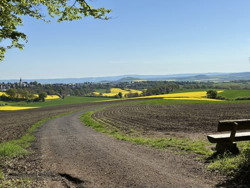 Mendiger Römerreich (Traumpfädchen)
