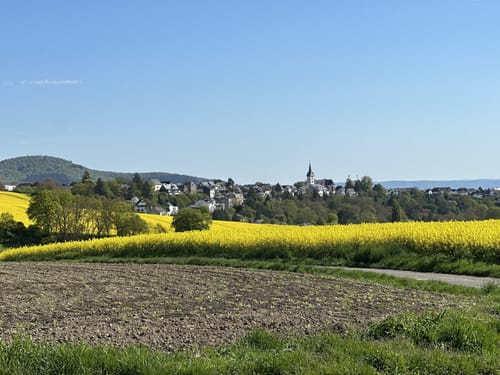 Mendiger Römerreich (Traumpfädchen)