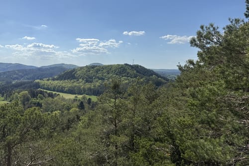 Busenberger Holzschuhpfad (Premiumwanderweg)