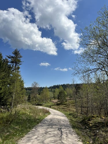 Buhlbachsee und Lotharpfad Rundwanderung
