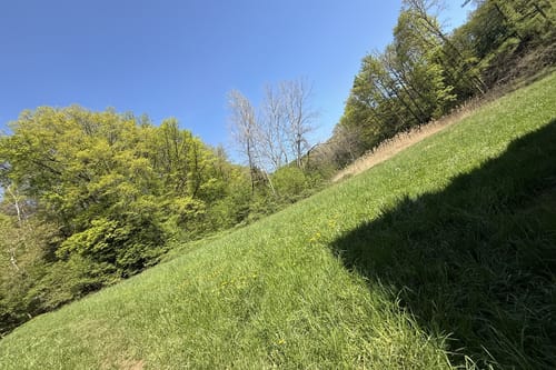 Busenberger Holzschuhpfad (Premiumwanderweg)
