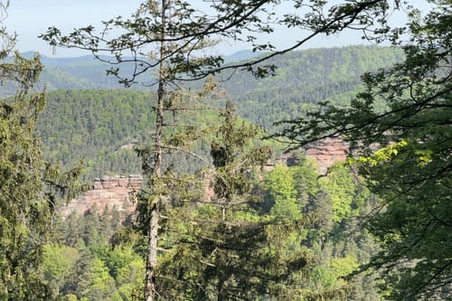Busenberger Holzschuhpfad (Premiumwanderweg)