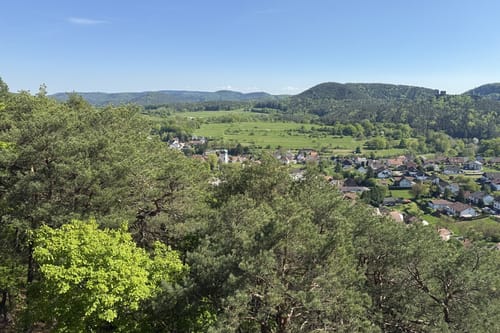 Busenberger Holzschuhpfad (Premiumwanderweg)