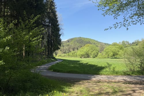 Busenberger Holzschuhpfad (Premiumwanderweg)
