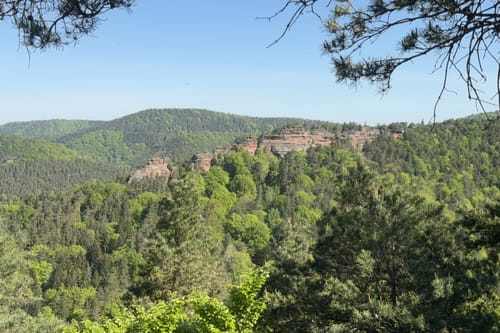 Busenberger Holzschuhpfad (Premiumwanderweg)