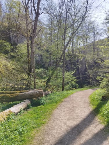 Von Lauterach durchs Wolfstal