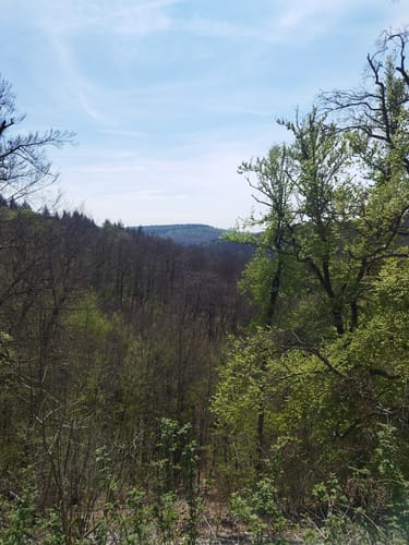 Von Lauterach durchs Wolfstal