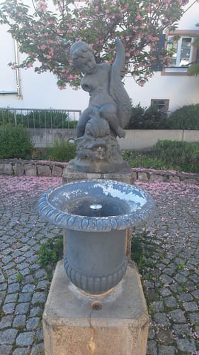Durch den Buchswald über Hornfelsen