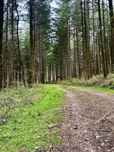 Rund um Arenrath