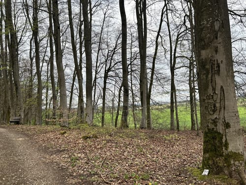Rund um Arenrath