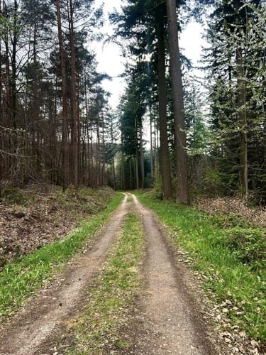 Rund um Arenrath