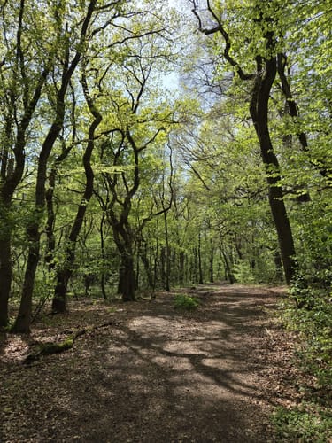 Große Leucht Runde