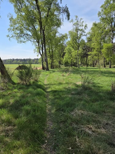 Große Leucht Runde