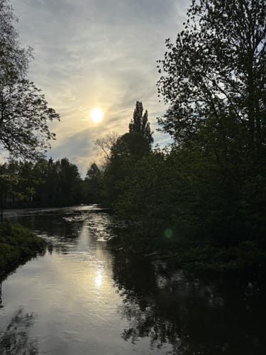 Rund um das Wildgehege