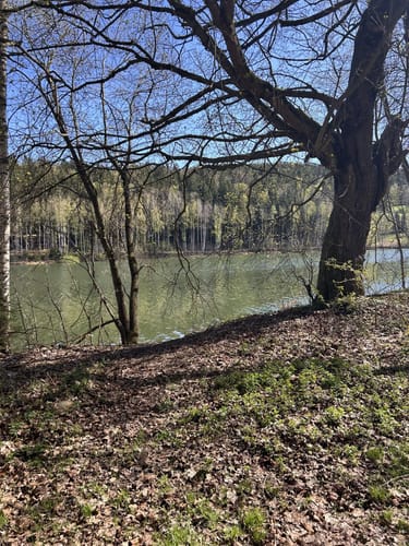 Rundwanderweg Markersbach Unterbecken