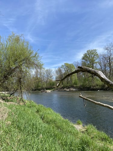 Rundweg durch die Isarauen bei Moosburg