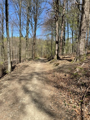 Rundweg D4 - Naturwelten