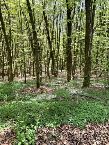 Rundweg D4 - Naturwelten