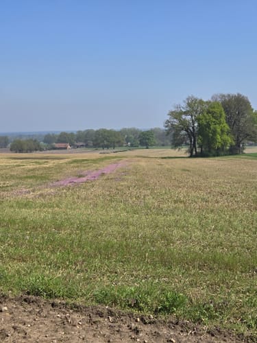 Brelinger Berge und Kiesgrube ab Brelingen
