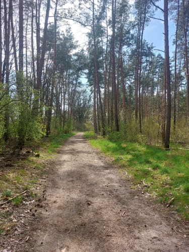 Erpetal Wanderweg
