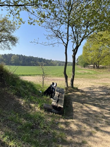 Bewegte Steine - Der Geo-Erlebnispfad
