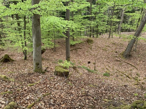 Langenthal - Heddesbach - Harfenburg