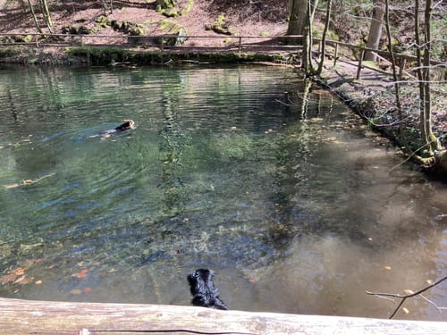 Am Schwarzbach: Ritterstein - Ramschel-Weiher