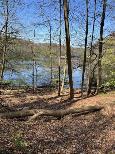 Lankower See - Grammsee Rundwanderung