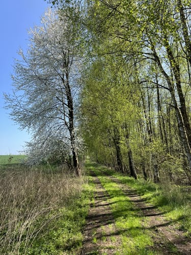 Lankower See - Grammsee Rundwanderung