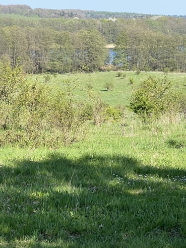 Lankower See - Grammsee Rundwanderung