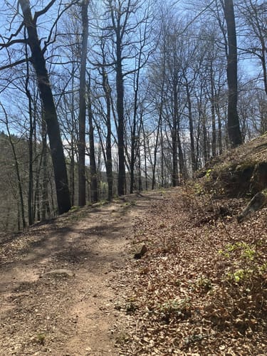 Am Schwarzbach: Ritterstein - Ramschel-Weiher