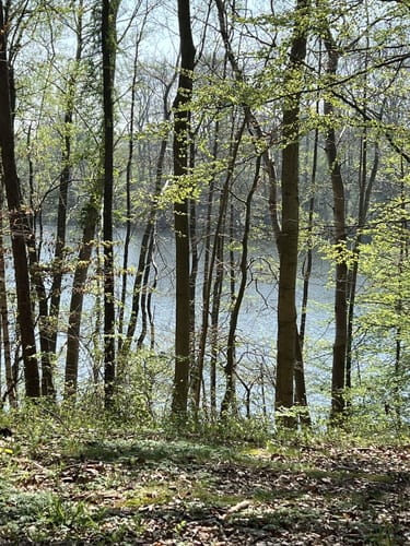 Lankower See - Grammsee Rundwanderung