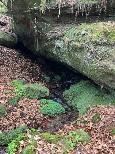 Am Schwarzbach: Ritterstein - Ramschel-Weiher