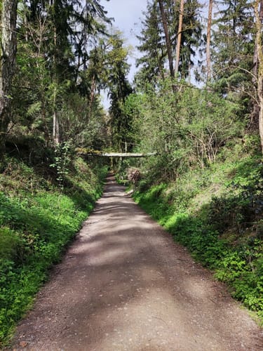 MTB: Rund um den Fürther Stadtwald