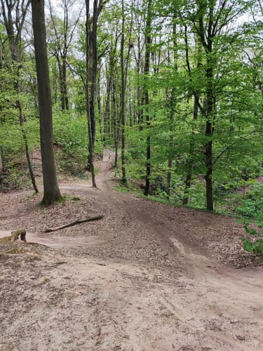 MTB: Rund um den Fürther Stadtwald