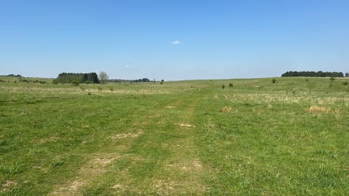 Durch das NSG Lange Dreisch und Osterberg
