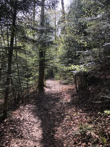 Premiumspazierwanderweg: Felsenmeer