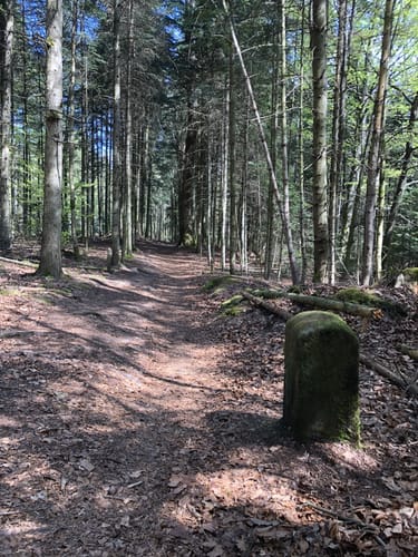Premiumspazierwanderweg: Felsenmeer