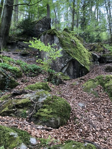 Premiumspazierwanderweg: Felsenmeer