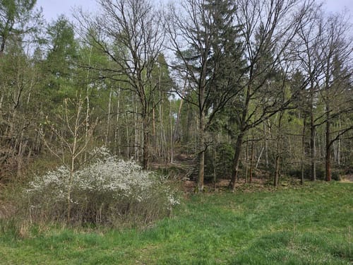 Rundweg Staudamm Talsperre Zeulenroda
