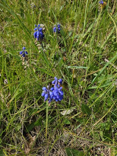 Rundweg Staudamm Talsperre Zeulenroda