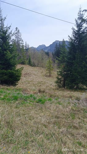 Rund um den Schwarzenberg