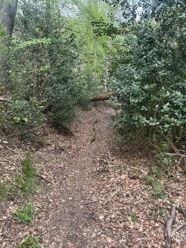 Herzkämper Mulde Weg