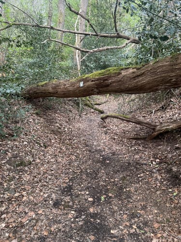 Herzkämper Mulde Weg
