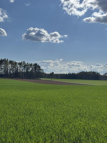 Paradiestal