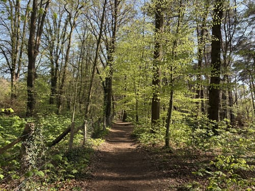 Leuchtenburg - Holthorst